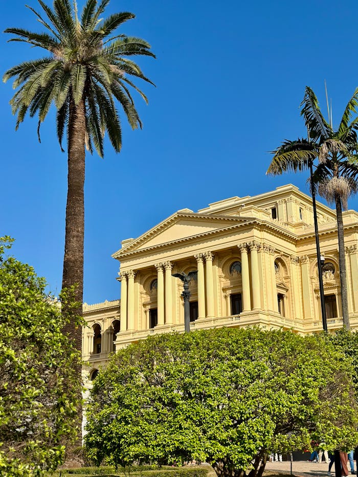 A neoclassical museum with palm trees under a clear blue sky.